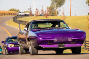 Tommy Boshers’ Hemibago